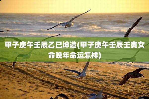 甲子庚午壬辰乙巳坤造(甲子庚午壬辰壬寅女命晚年命运怎样)