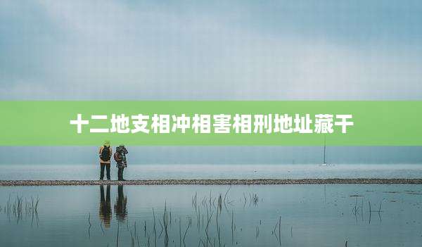 十二地支相冲相害相刑地址藏干