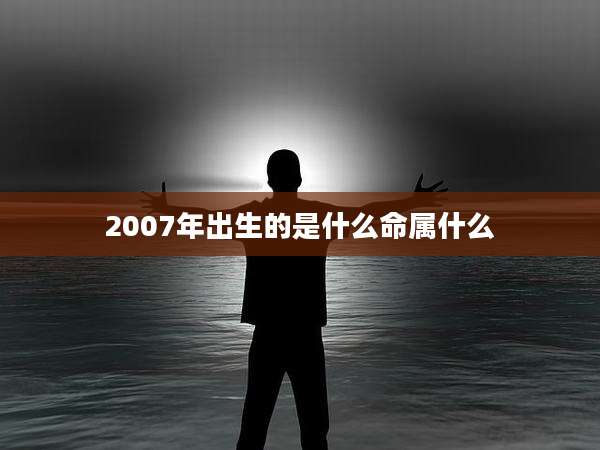 2007年出生的是什么命属什么