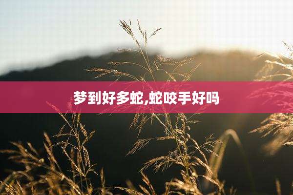 梦到好多蛇,蛇咬手好吗