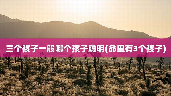 三个孩子一般哪个孩子聪明(命里有3个孩子)