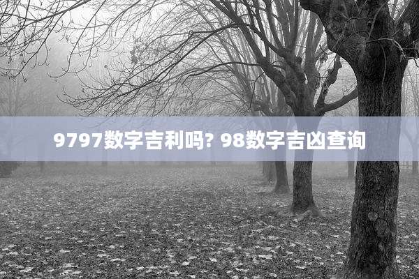 9797数字吉利吗? 98数字吉凶查询
