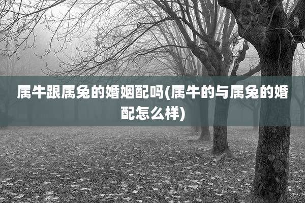 属牛跟属兔的婚姻配吗(属牛的与属兔的婚配怎么样)