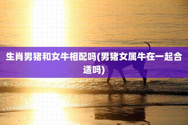 生肖男猪和女牛相配吗(男猪女属牛在一起合适吗)
