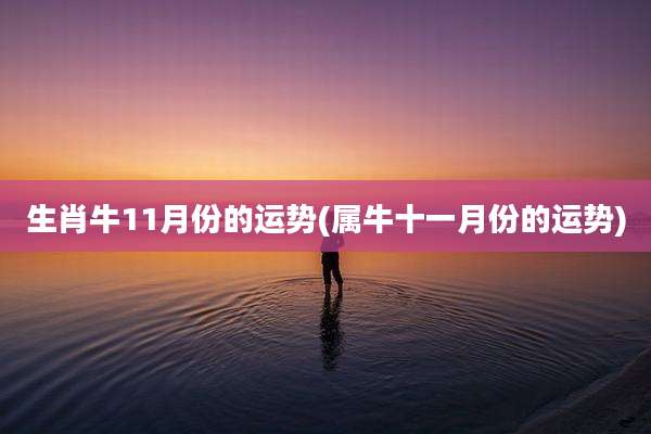 生肖牛11月份的运势(属牛十一月份的运势)