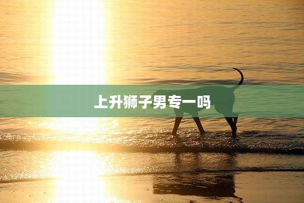 上升狮子男专一吗
