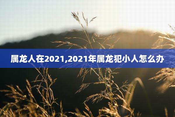 属龙人在2021,2021年属龙犯小人怎么办