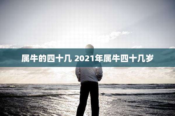 属牛的四十几 2021年属牛四十几岁