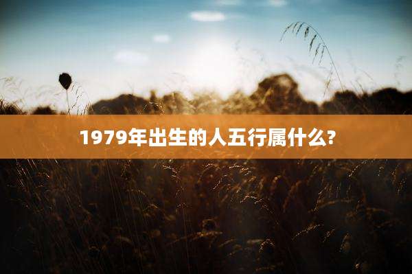 1979年出生的人五行属什么?