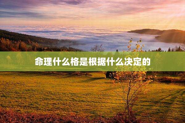 命理什么格是根据什么决定的