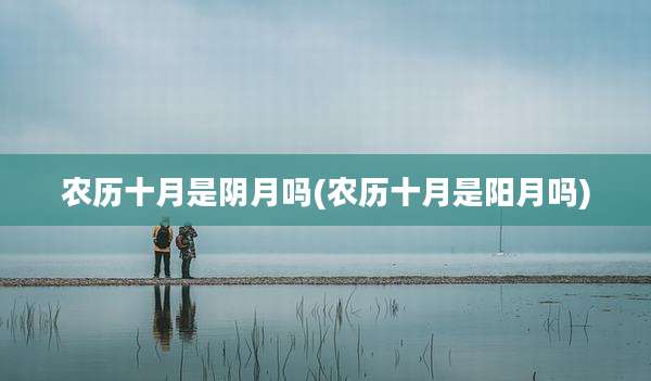 农历十月是阴月吗(农历十月是阳月吗)