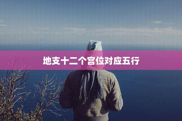 地支十二个宫位对应五行