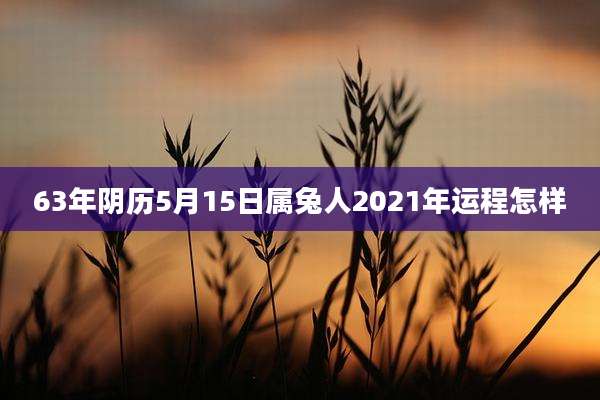63年阴历5月15日属兔人2021年运程怎样