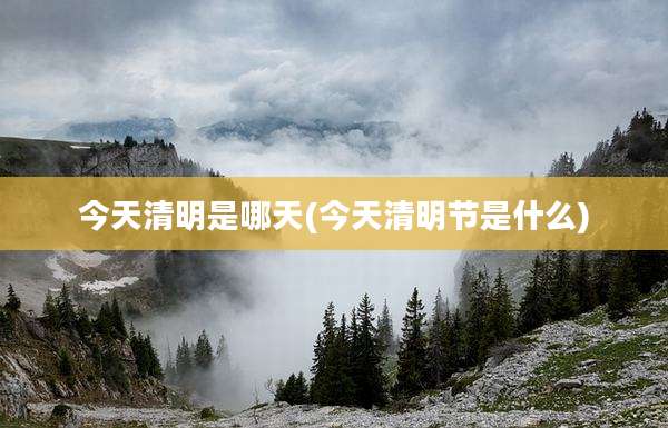 今天清明是哪天(今天清明节是什么)