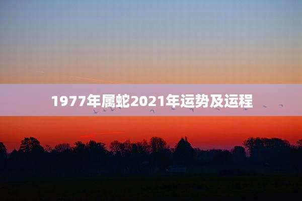 1977年属蛇2021年运势及运程