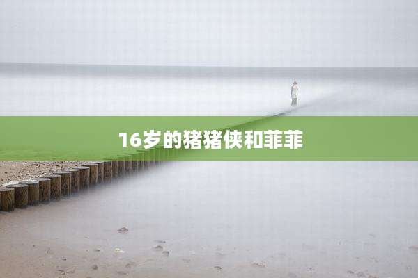 16岁的猪猪侠和菲菲