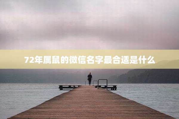 72年属鼠的微信名字最合适是什么