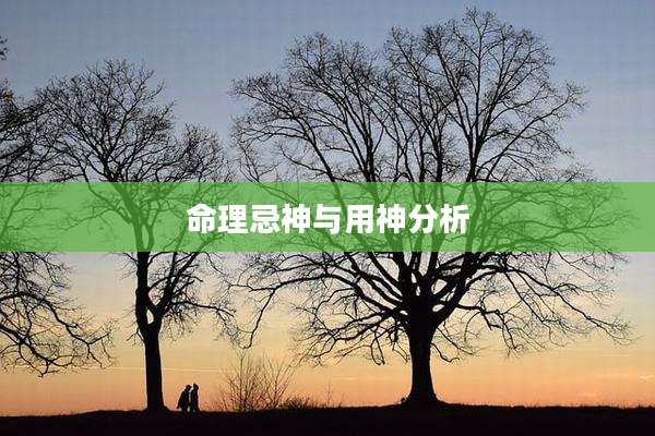 命理忌神与用神分析