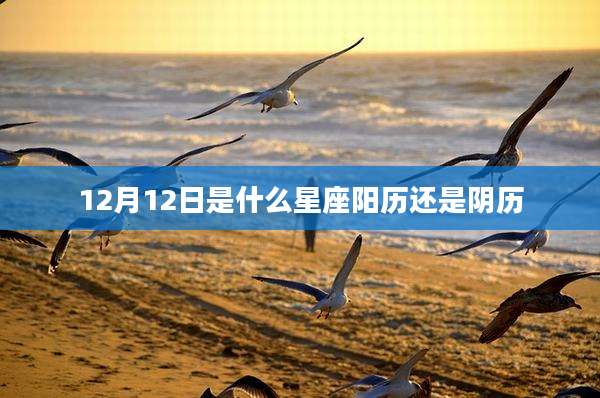 12月12日是什么星座阳历还是阴历