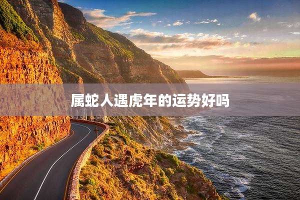 属蛇人遇虎年的运势好吗