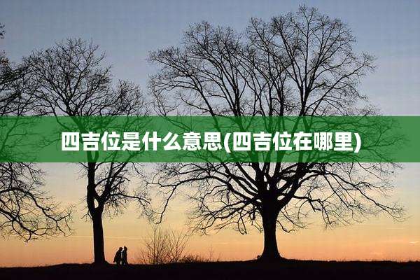 四吉位是什么意思(四吉位在哪里)