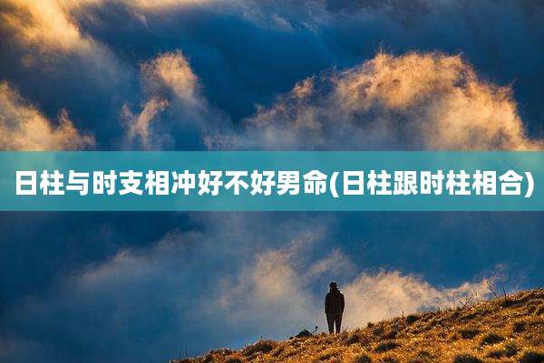 日柱与时支相冲好不好男命(日柱跟时柱相合)