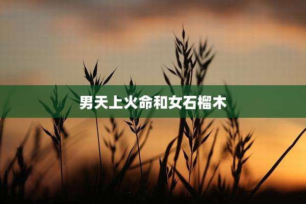 男天上火命和女石榴木