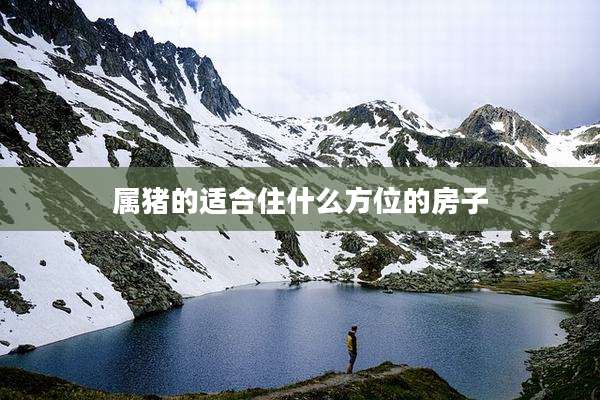 属猪的适合住什么方位的房子