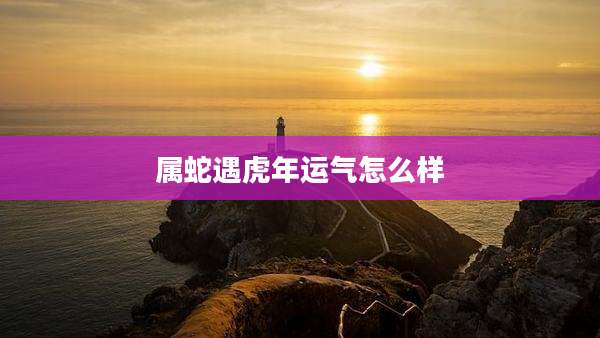 属蛇遇虎年运气怎么样