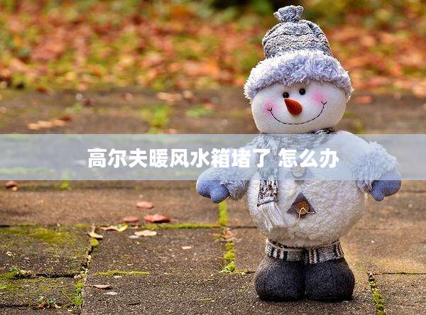 高尔夫暖风水箱堵了 怎么办
