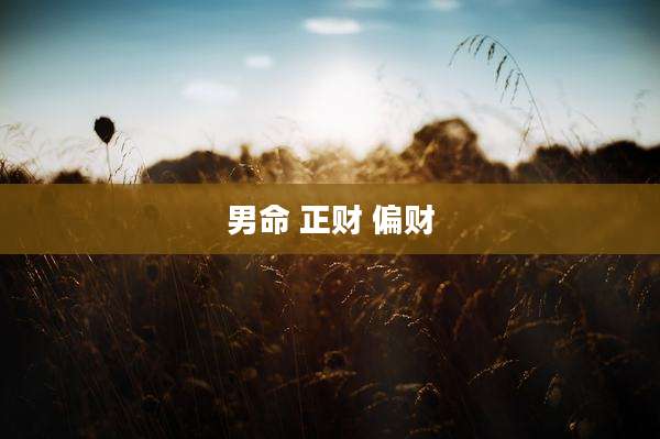 男命 正财 偏财