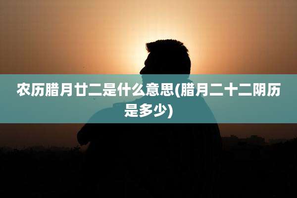 农历腊月廿二是什么意思(腊月二十二阴历是多少)