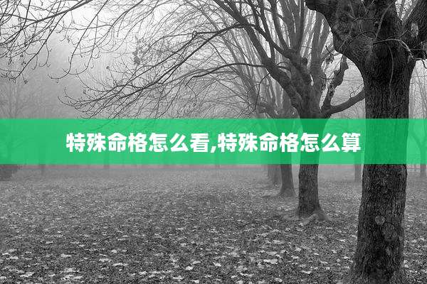 特殊命格怎么看,特殊命格怎么算