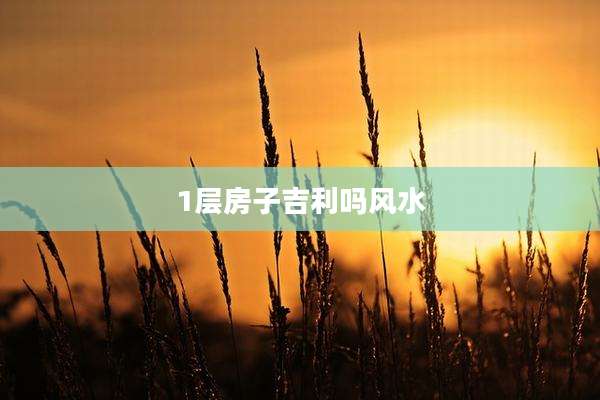 1层房子吉利吗风水