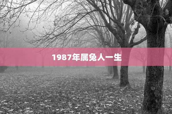1987年属兔人一生