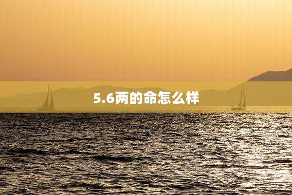 5.6两的命怎么样