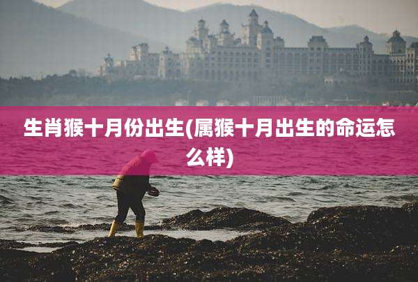 生肖猴十月份出生(属猴十月出生的命运怎么样)