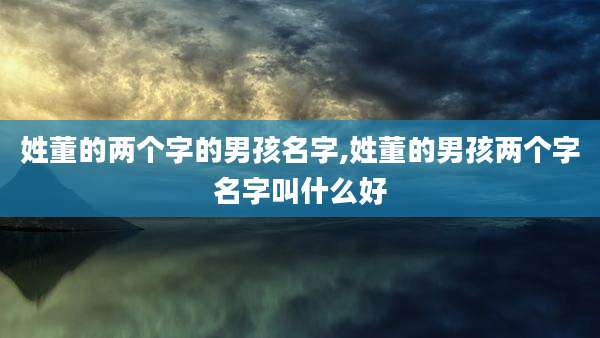 姓董的两个字的男孩名字,姓董的男孩两个字名字叫什么好