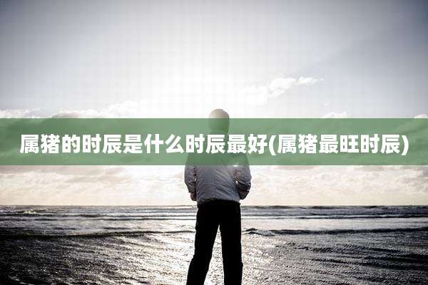 属猪的时辰是什么时辰最好(属猪最旺时辰)