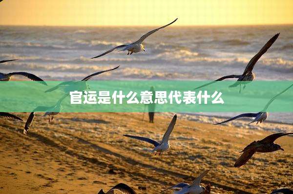 官运是什么意思代表什么