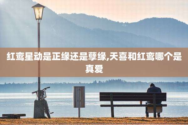 红鸾星动是正缘还是孽缘,天喜和红鸾哪个是真爱
