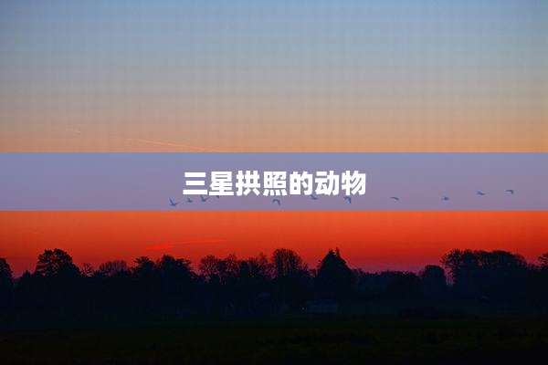 三星拱照的动物
