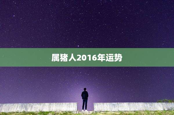 属猪人2016年运势