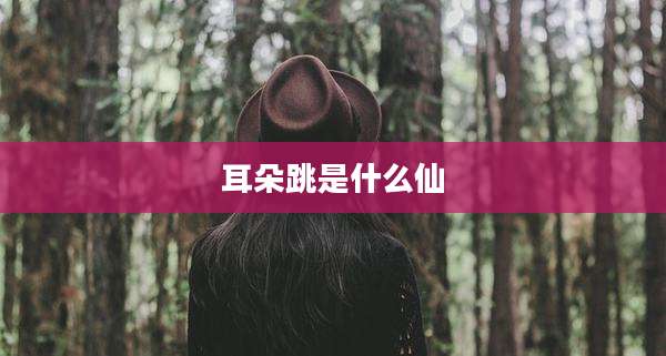 耳朵跳是什么仙