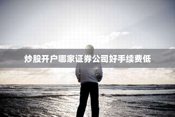炒股开户哪家证券公司好手续费低