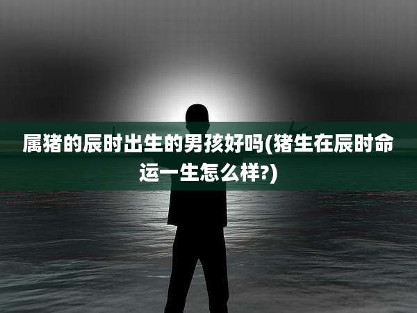 属猪的辰时出生的男孩好吗(猪生在辰时命运一生怎么样?)