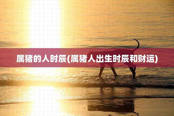 属猪的人时辰(属猪人出生时辰和财运)