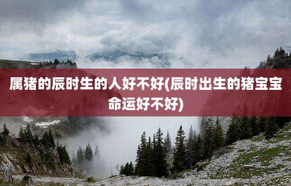 属猪的辰时生的人好不好(辰时出生的猪宝宝命运好不好)
