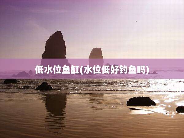 低水位鱼缸(水位低好钓鱼吗)