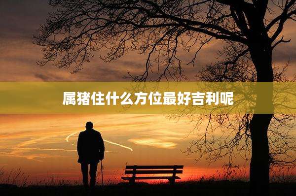 属猪住什么方位最好吉利呢